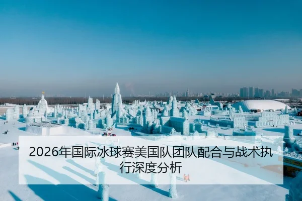 2026年国际冰球赛美国队团队配合与战术执行深度分析