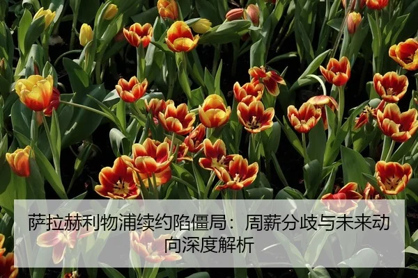 萨拉赫利物浦续约陷僵局：周薪分歧与未来动向深度解析