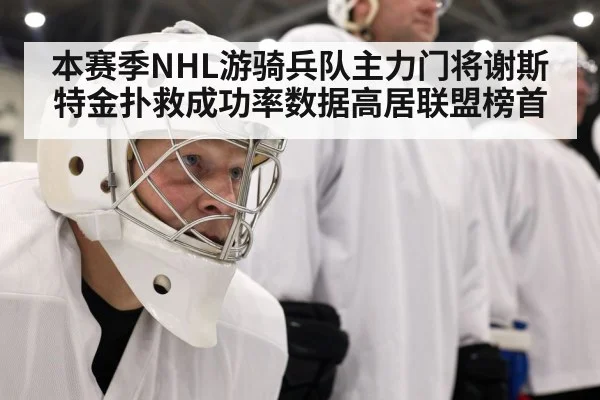 hockey goalie mask